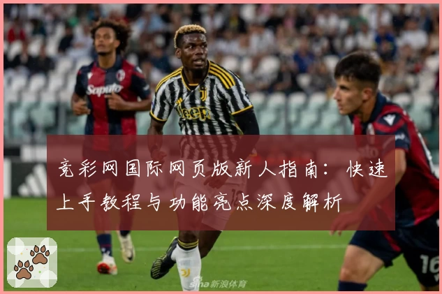 竞彩网国际网页版新人指南：快速上手教程与功能亮点深度解析