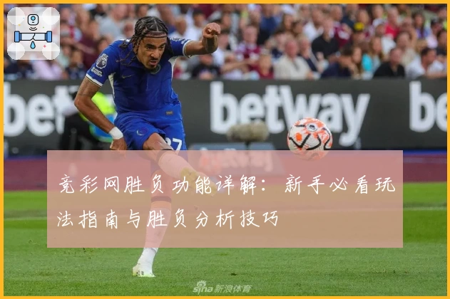 竞彩网胜负功能详解:新手必看玩法指南与胜负分析技巧